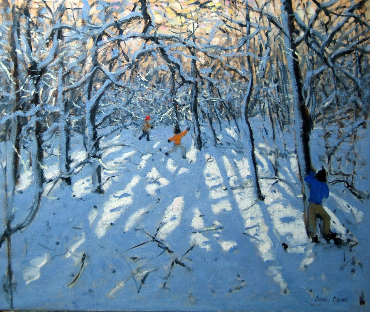 Vinterskog, nær Newhaven, Derbyshire av Andrew Macara