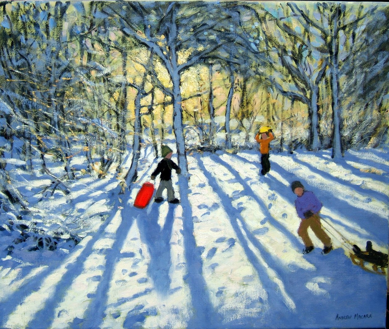 Woodland om vinteren, nær Ashbourne, Derbyshire av Andrew Macara
