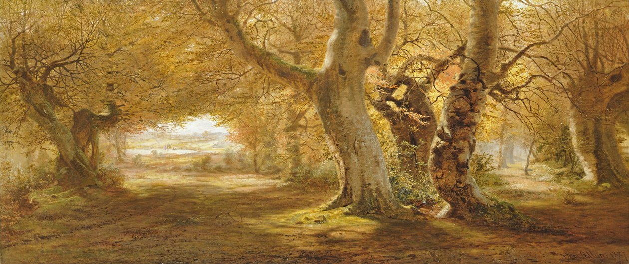 Et skogslandskap, 1887 av Andrew McCallum
