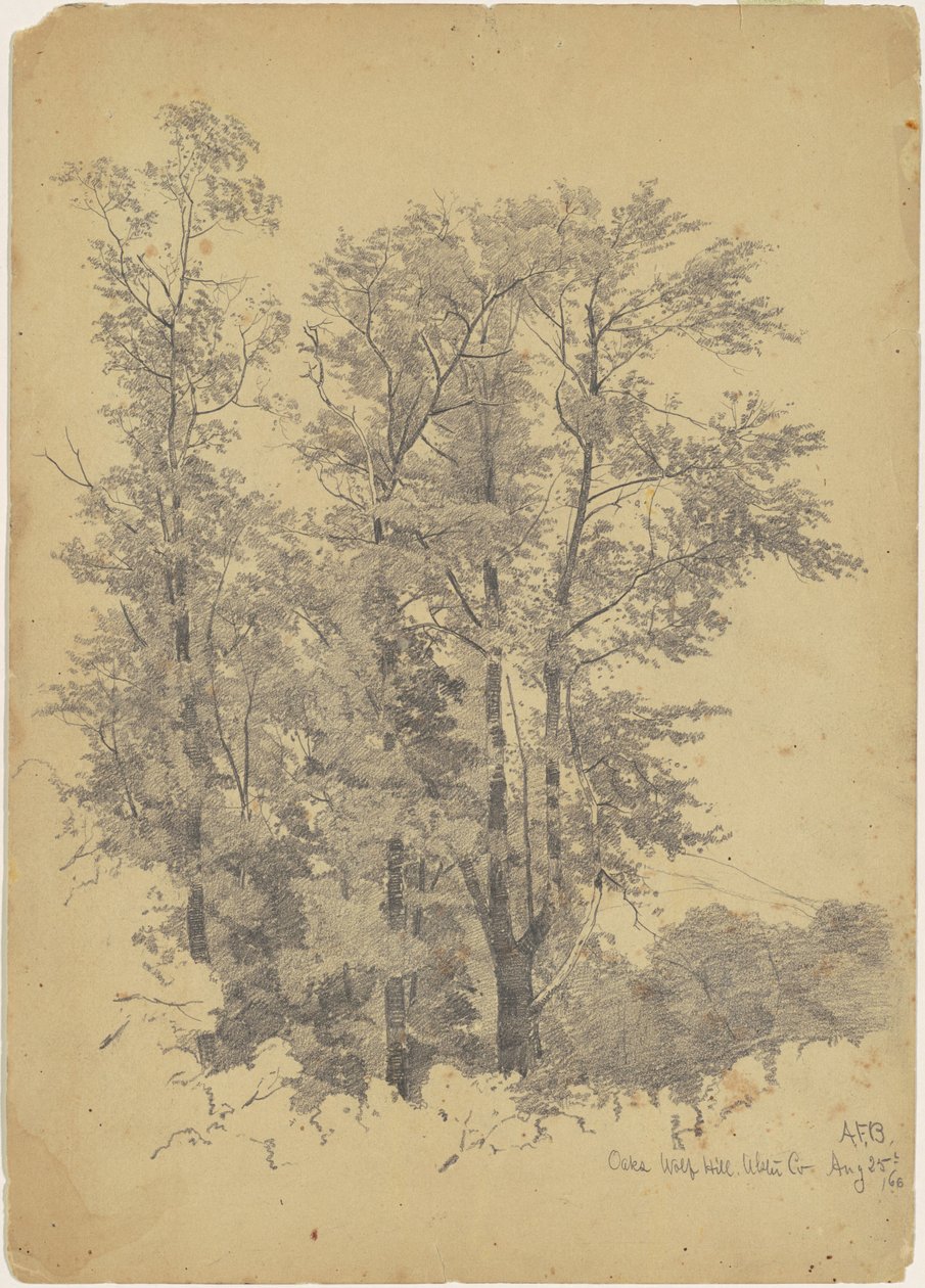 Oaks, Wolf Hill, Ulster County av Andrew Fisher Bunner