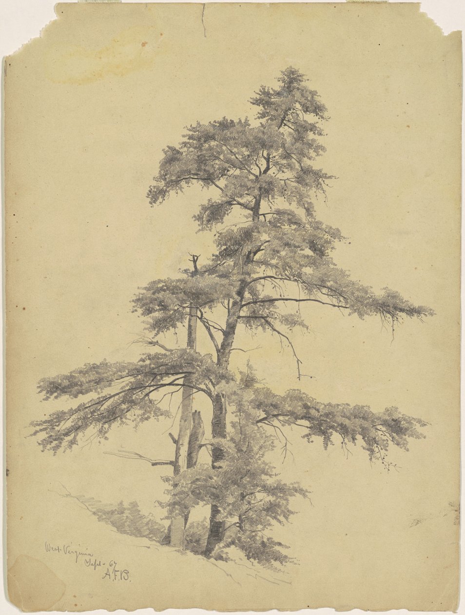 Trees, West Virginia av Andrew Fisher Bunner