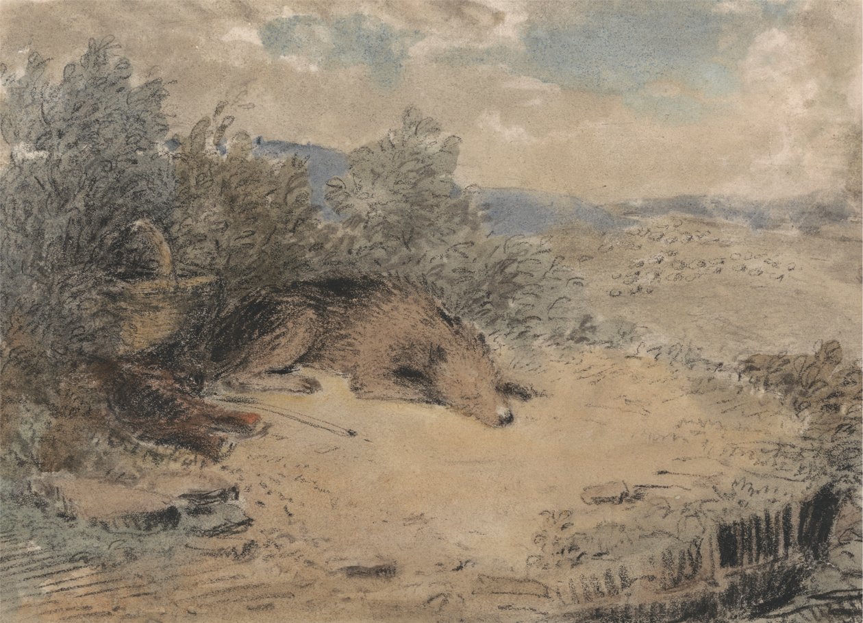 Sheepdog sover i et landskap av Andrew Geddes