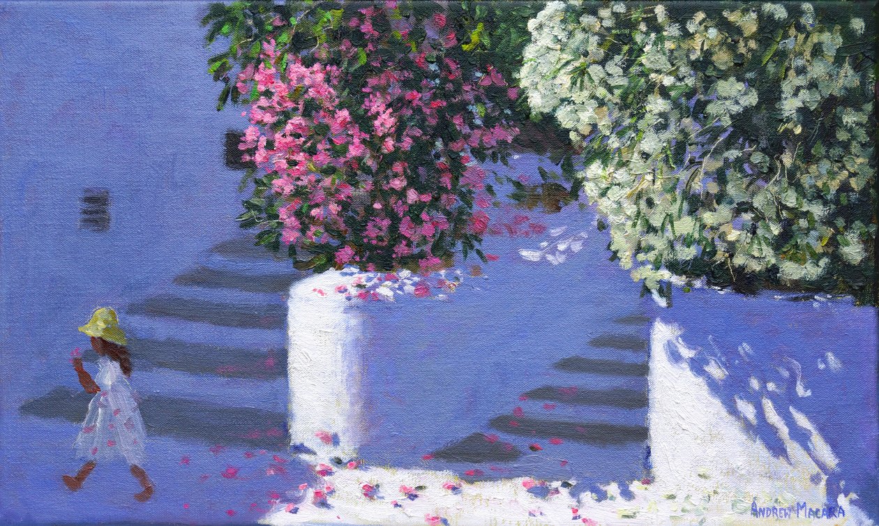 Bougainvillea, Anandas, Milos, greske øyer, 2017, av Andrew Macara