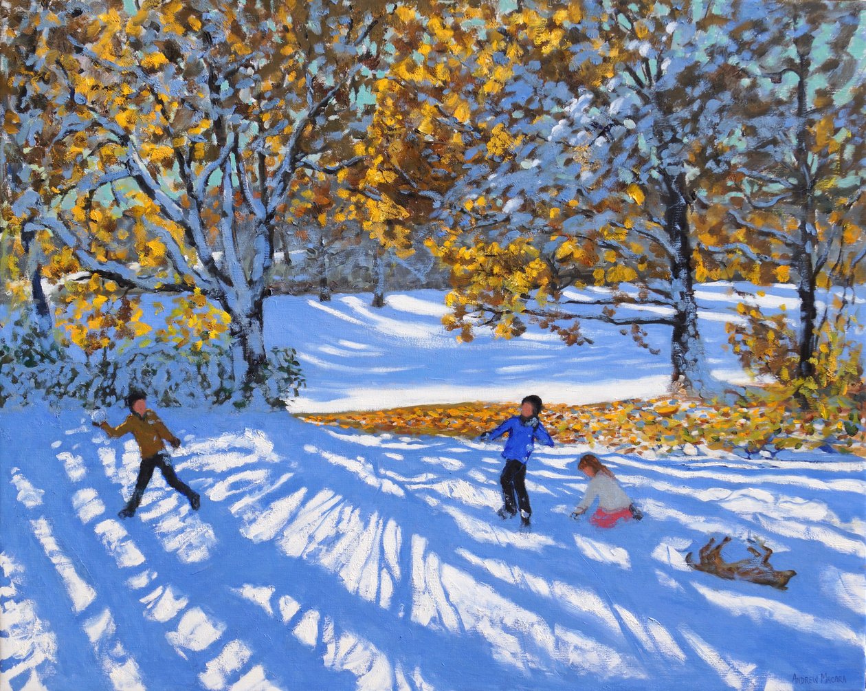 Tidlig snø, Allestree Park. 2017, av Andrew Macara