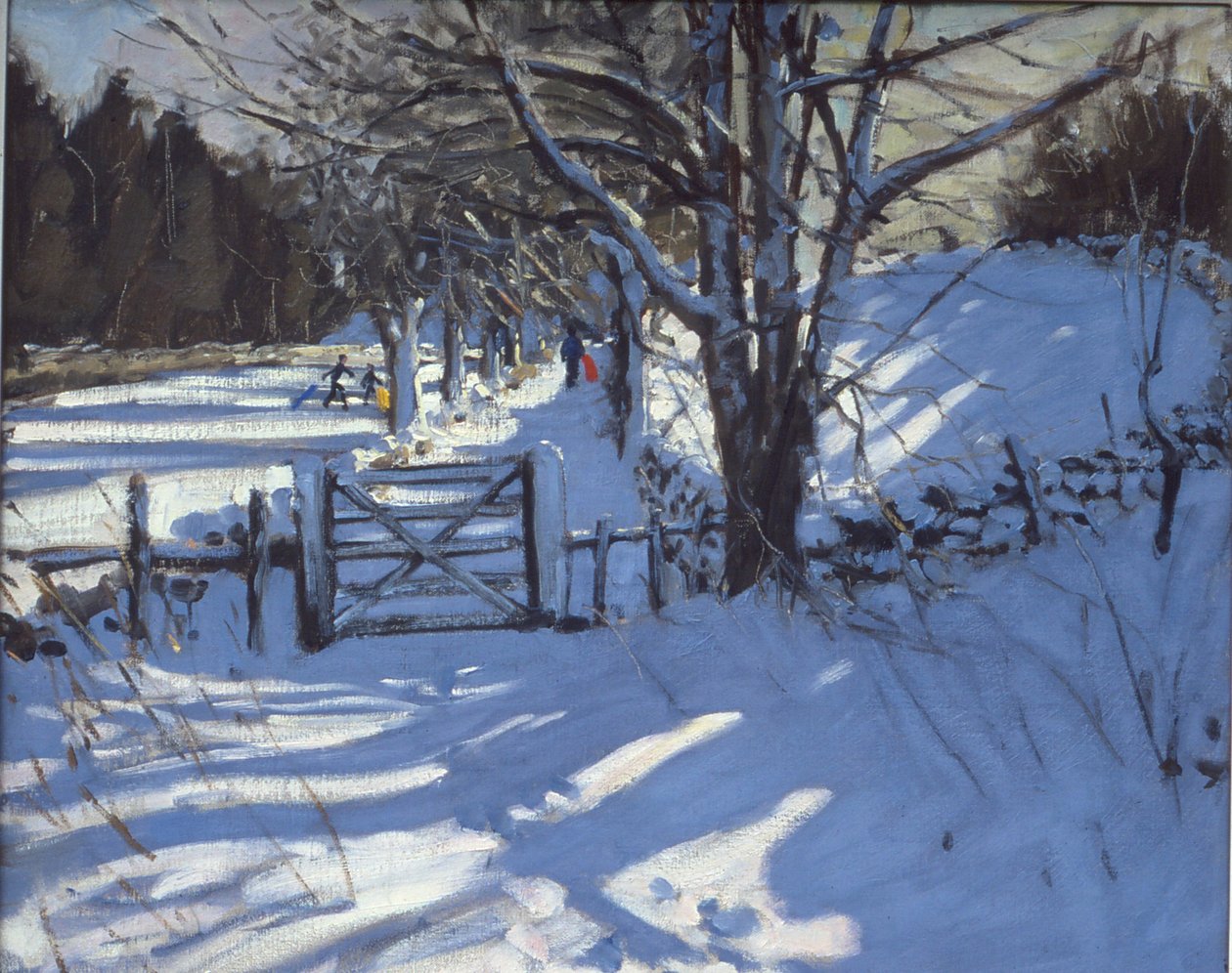 Gate nær Youlgreave, Derbyshire av Andrew Macara