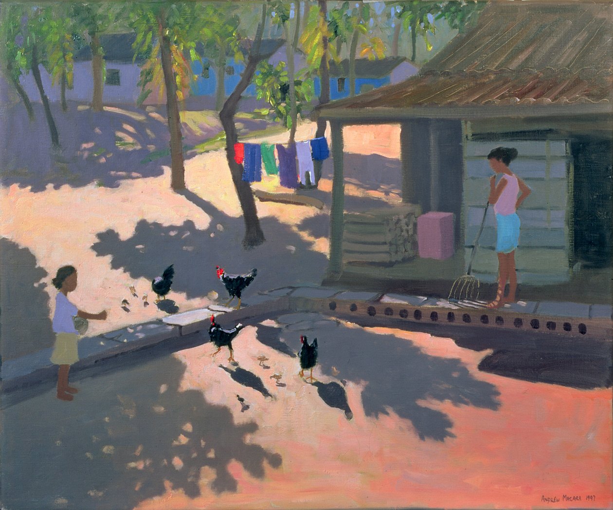 Hens and Chickens, Cuba, 1997 av Andrew Macara