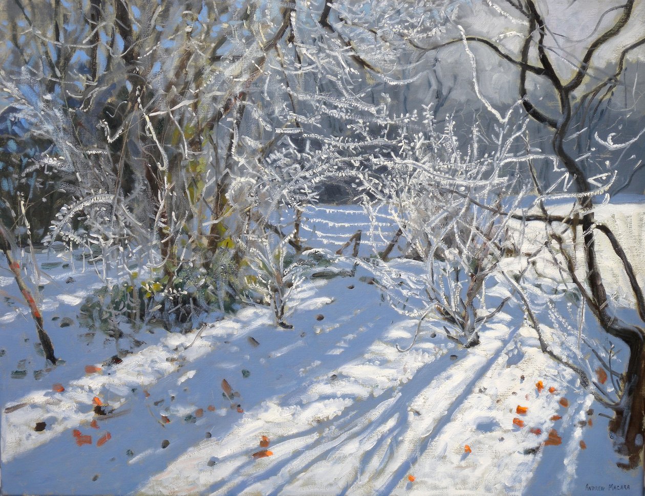 Rimfrost, 2011 av Andrew Macara