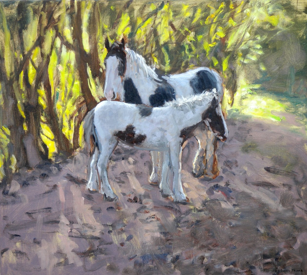 Hoppe og føll, 2011 (olje på lerret) av Andrew Macara