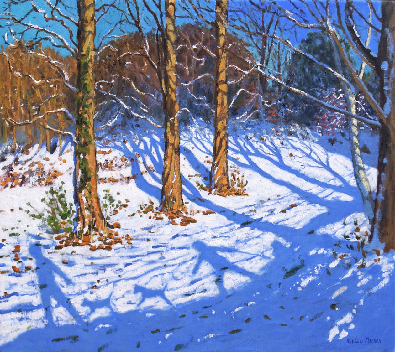November snø, Allestree Park, Derby, 2017, av Andrew Macara