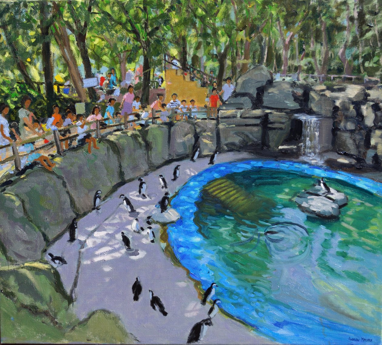 Penguin Pool, Madrid Zoo. 2015 av Andrew Macara