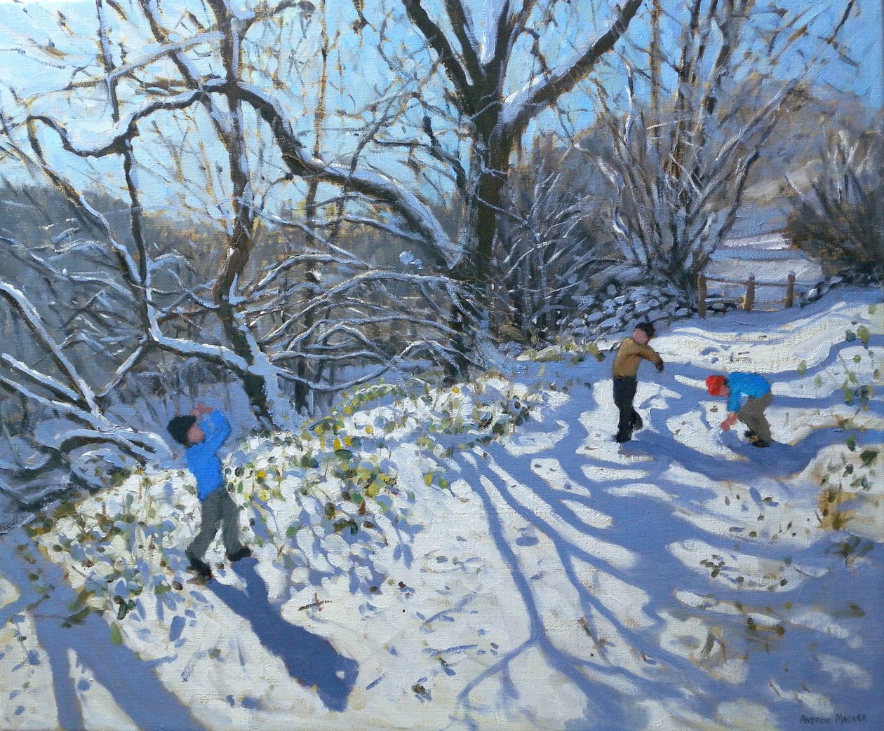 Snøballkamp, 2007 av Andrew Macara
