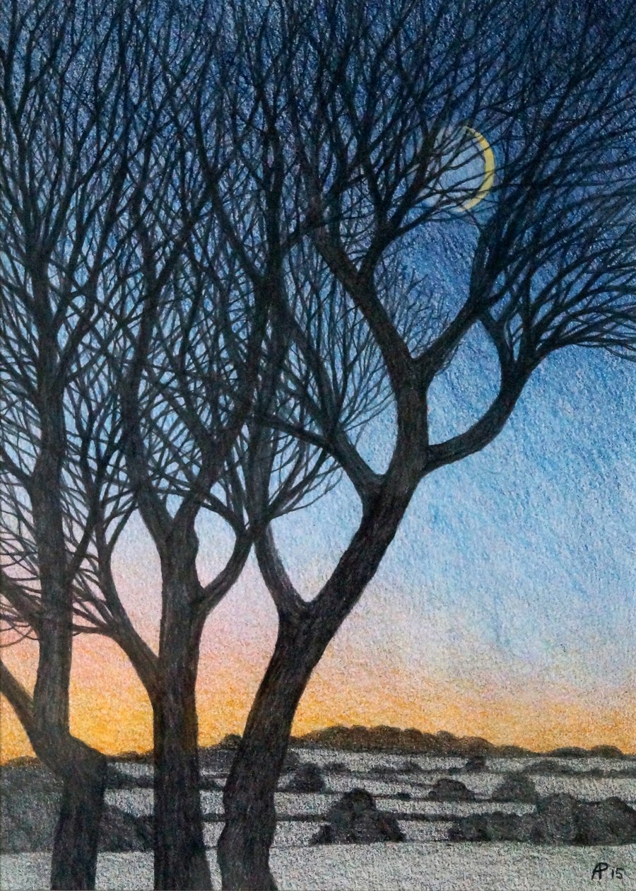 Trees and Moon, 2015 (blandet media på papir) av Anna Phillips