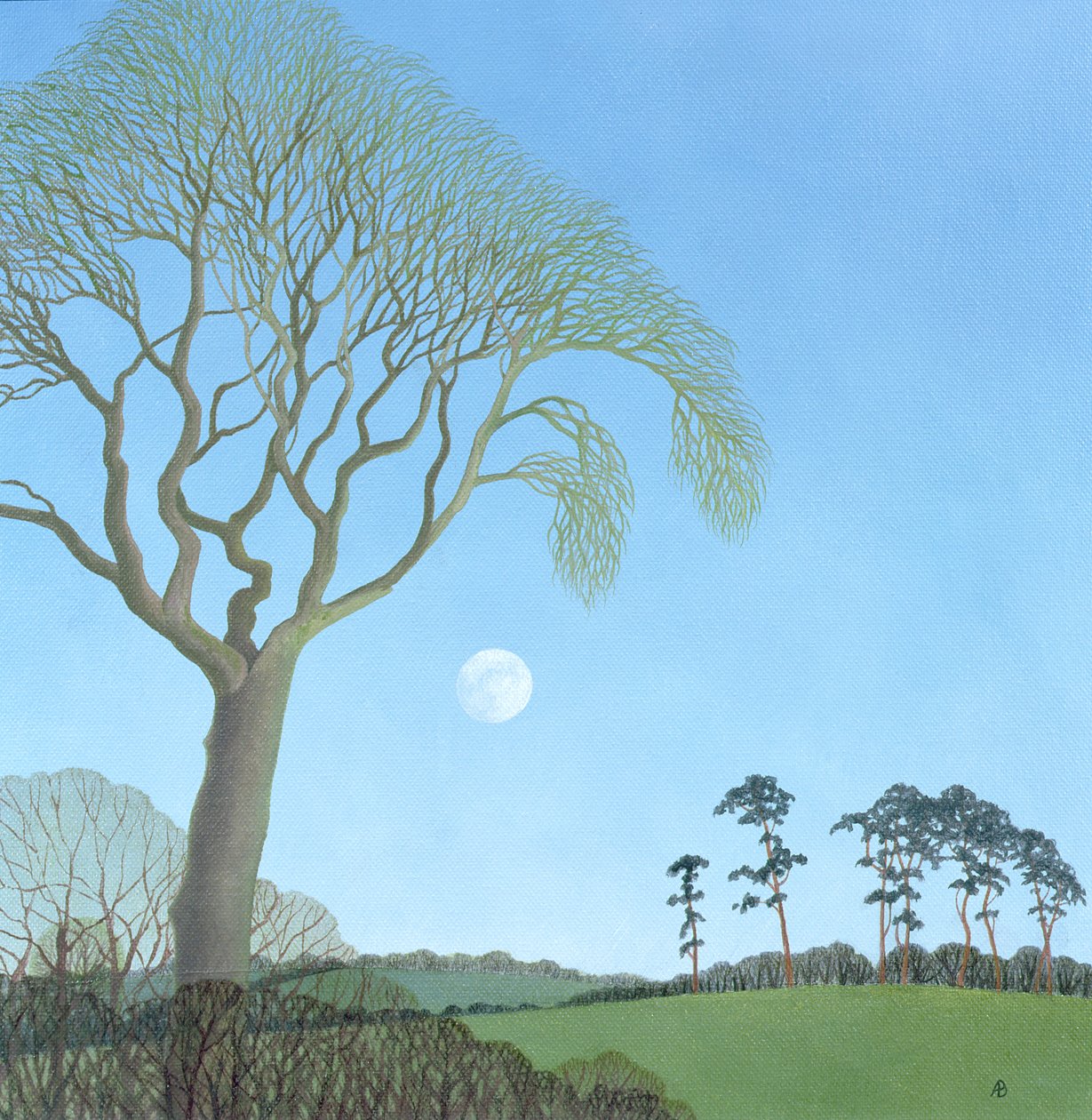 Tidlig måne, 2007 av Anna Phillips