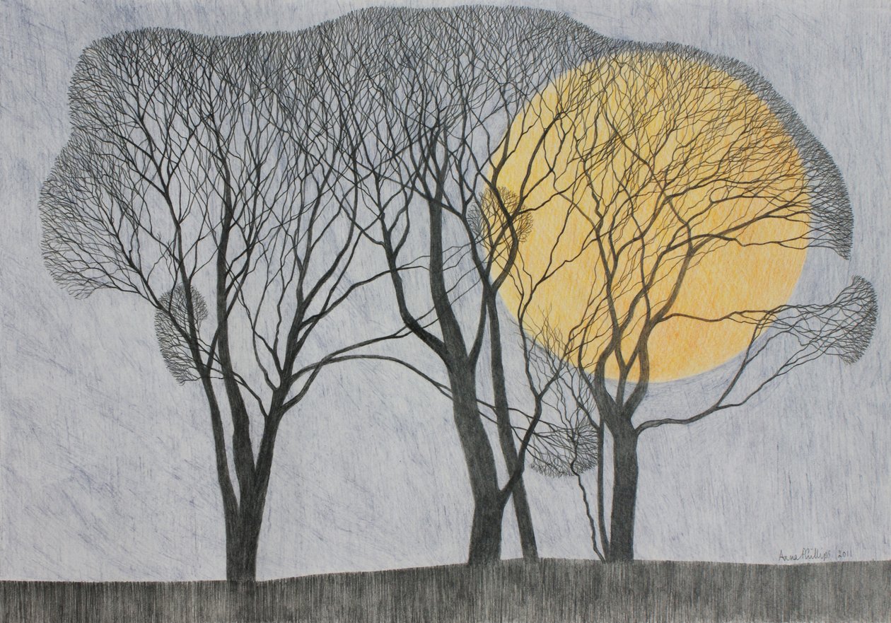 Megamoon, 2011 (farget blyant på papir) av Anna Phillips