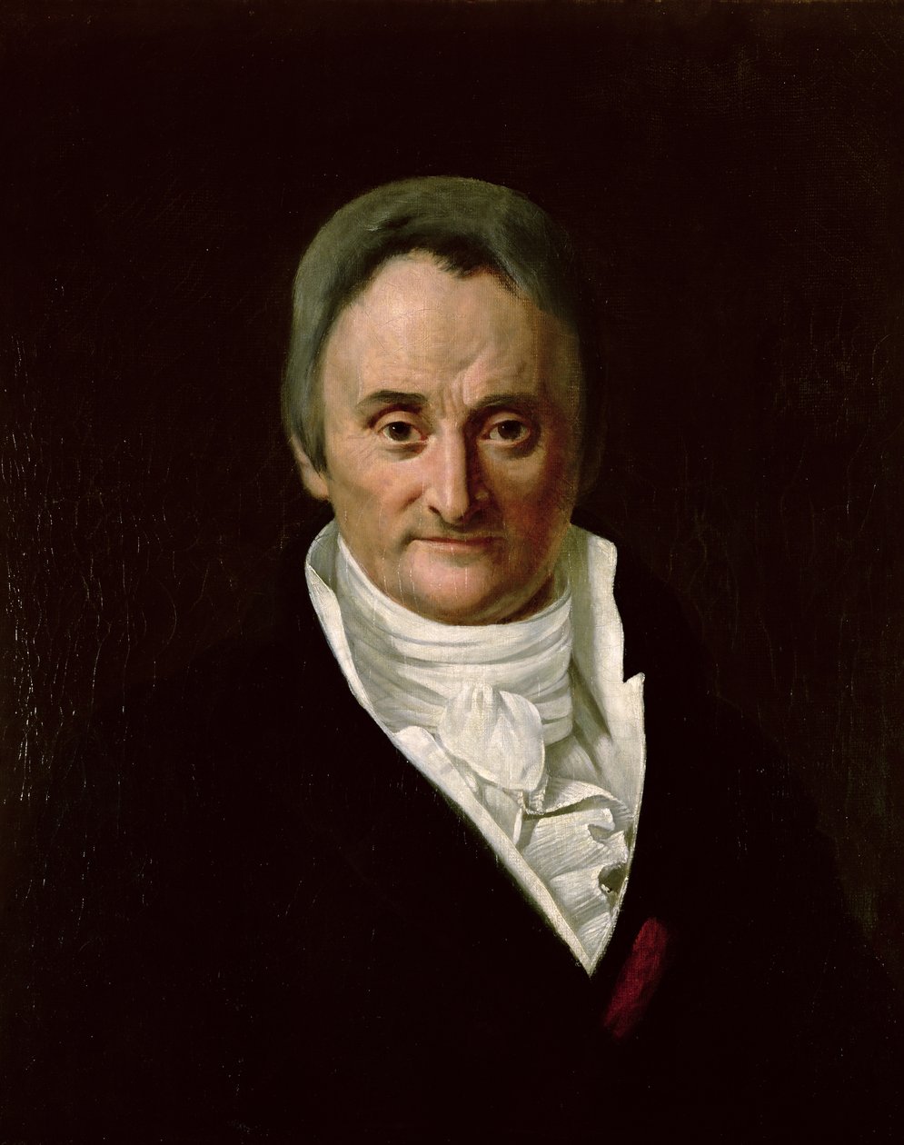 Philippe Pinel (1745–1826) av Anna M. Merimee