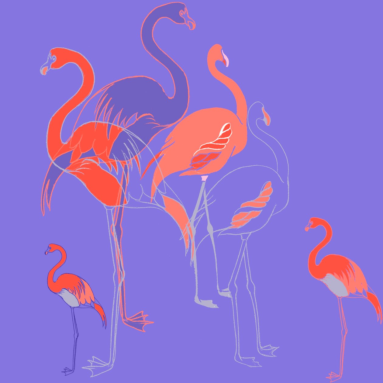 Flamingoer av Anna Platts