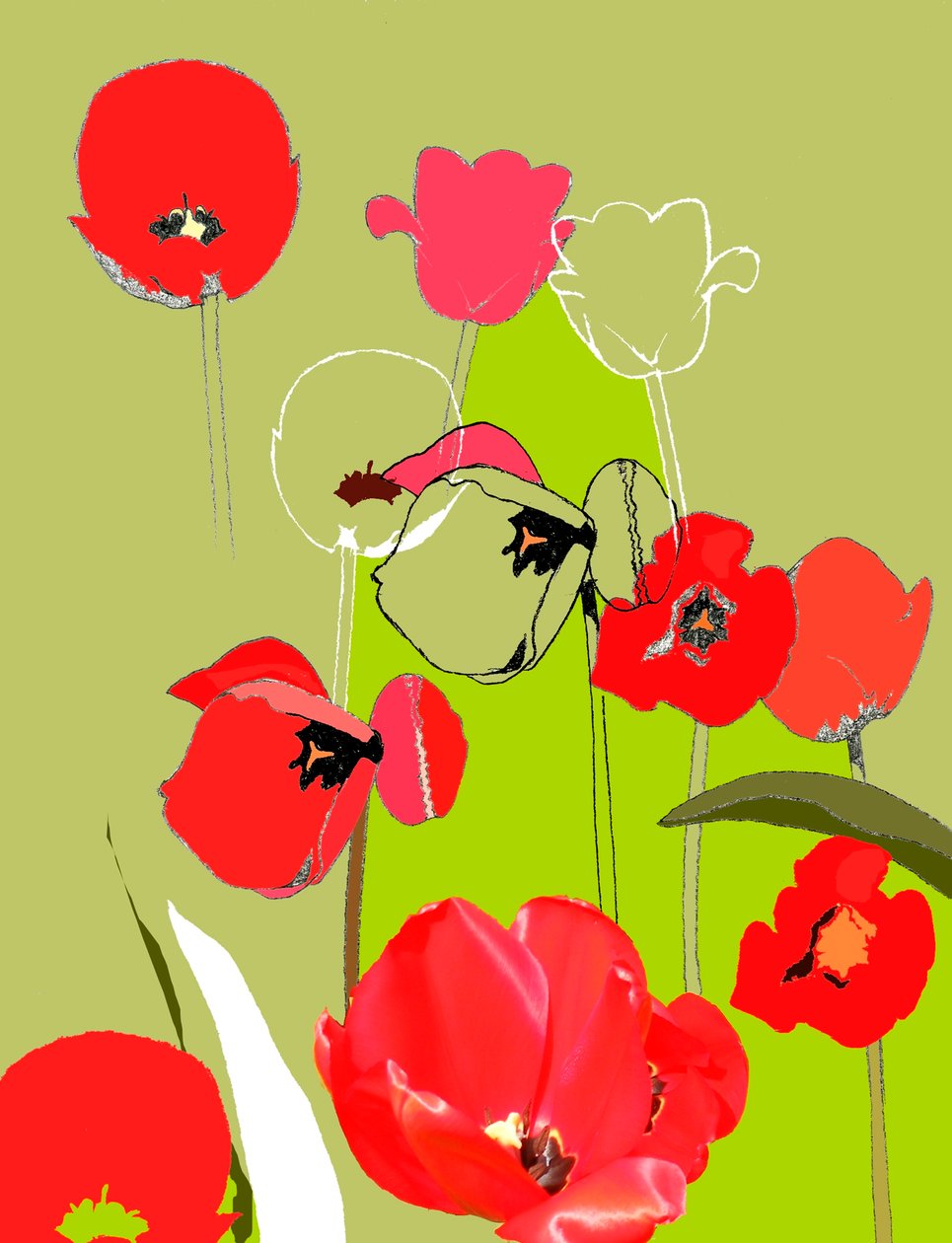 Tulipan av Anna Platts