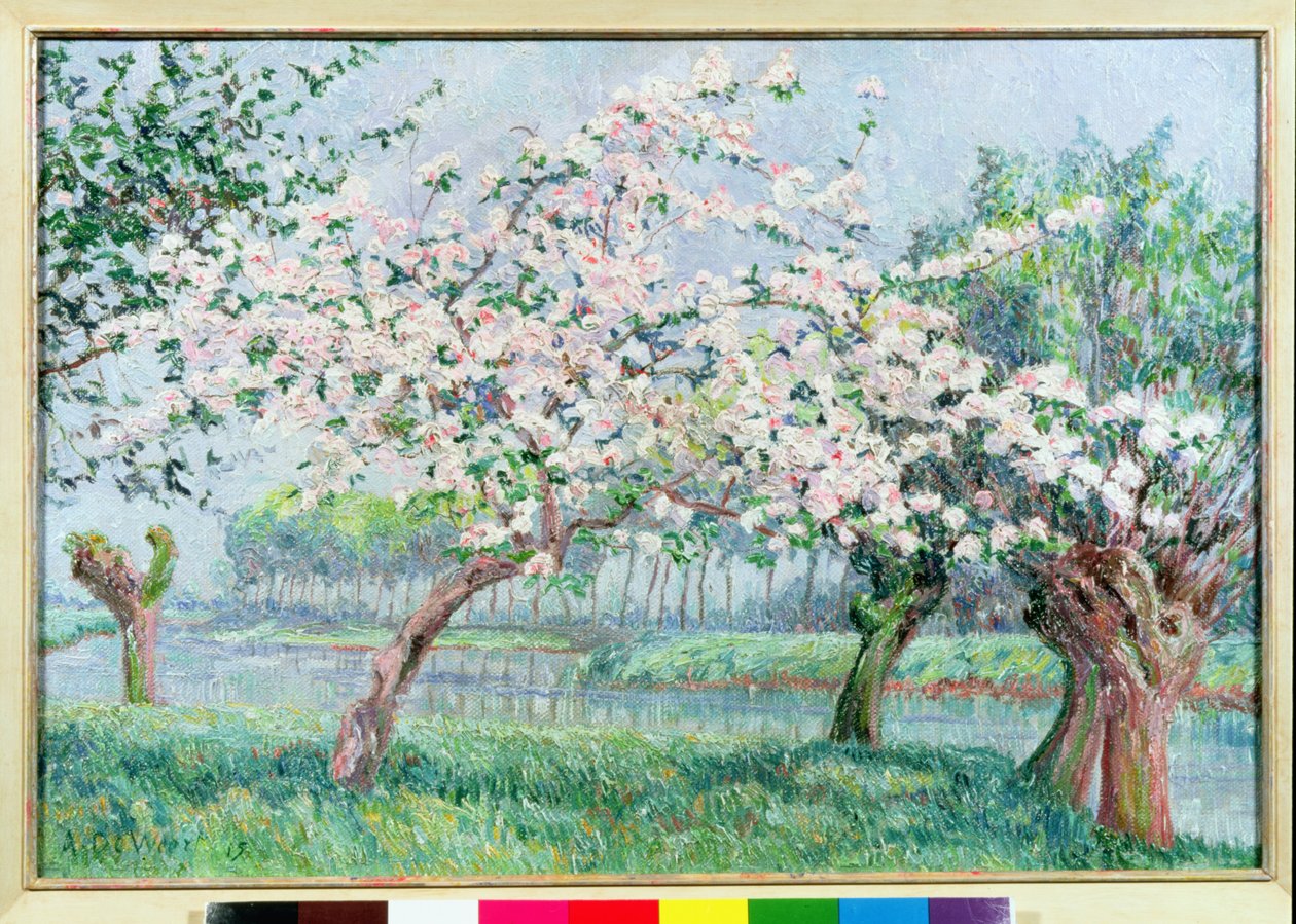 Epleblomst på elvekanten av Anna de Weert