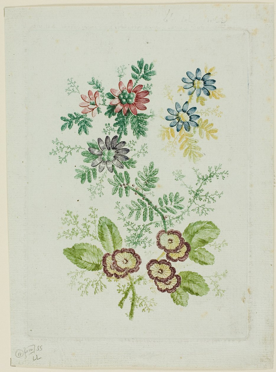Blomster av Anne Allen
