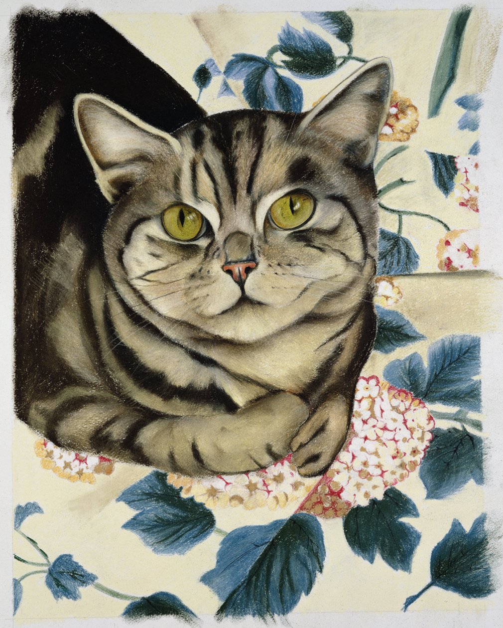Tabby katt av Anne Robinson