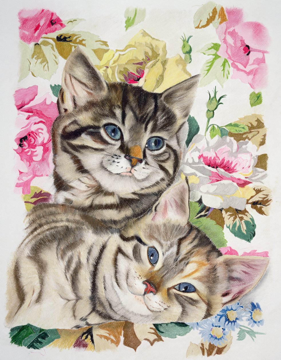 To kattunger av Anne Robinson