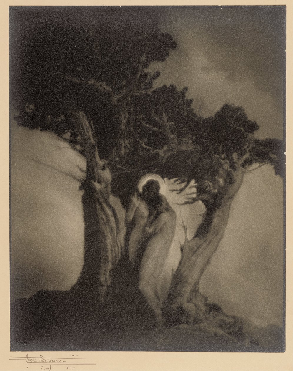Stormens hjerte av Anne W. Brigman