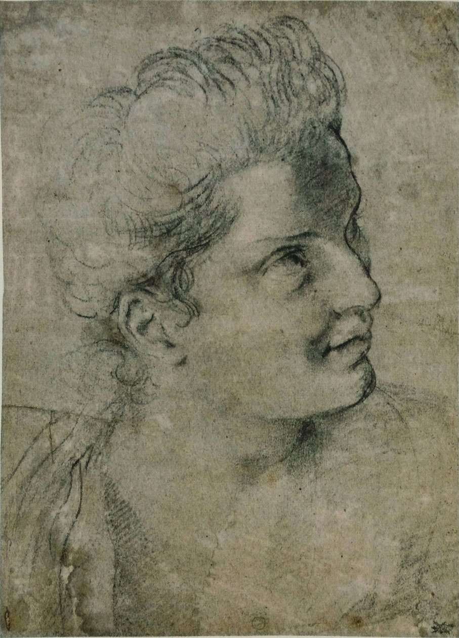 Hodet til en kvinne av Annibale Carracci