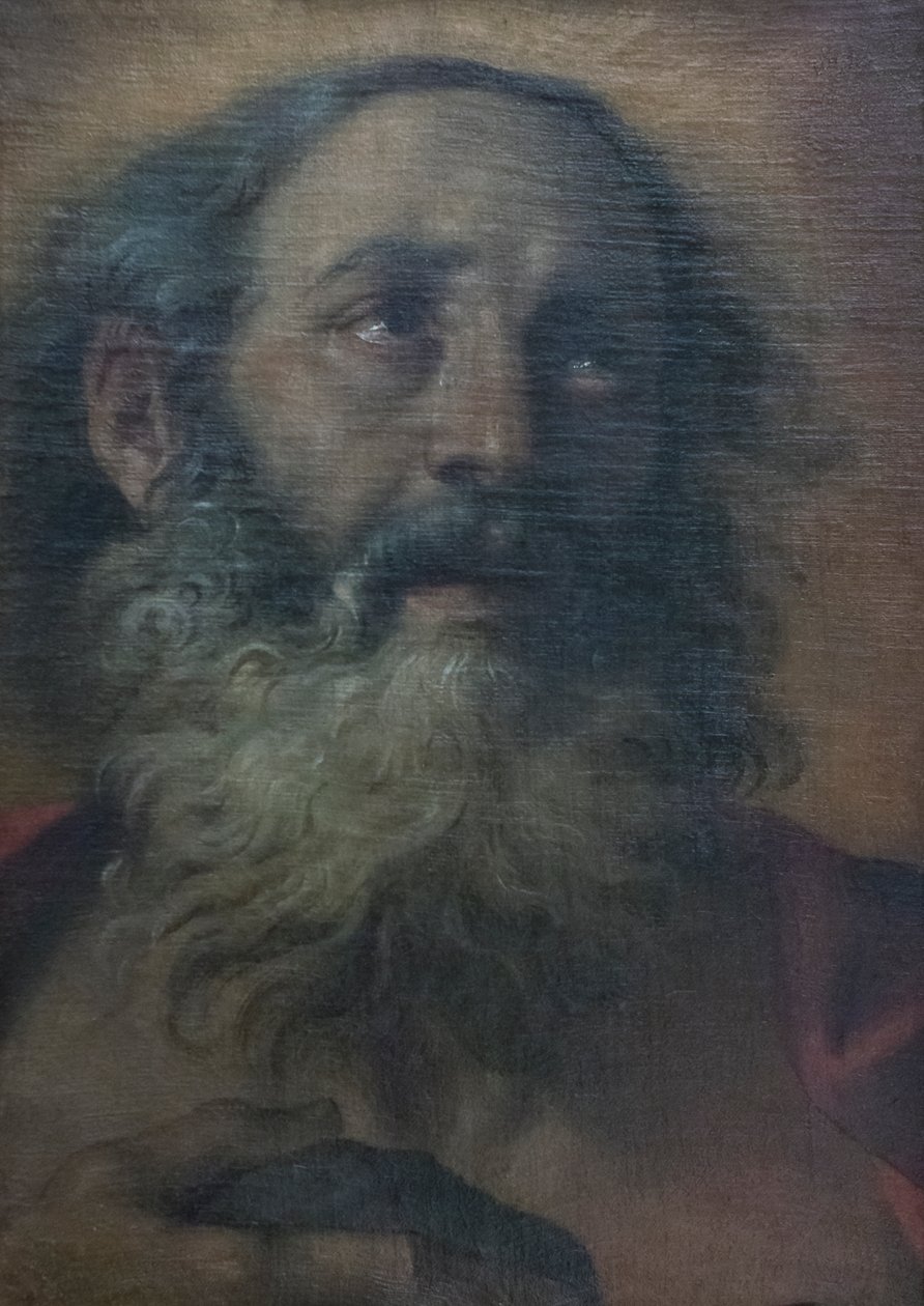 St Jerome av Annibale Carracci
