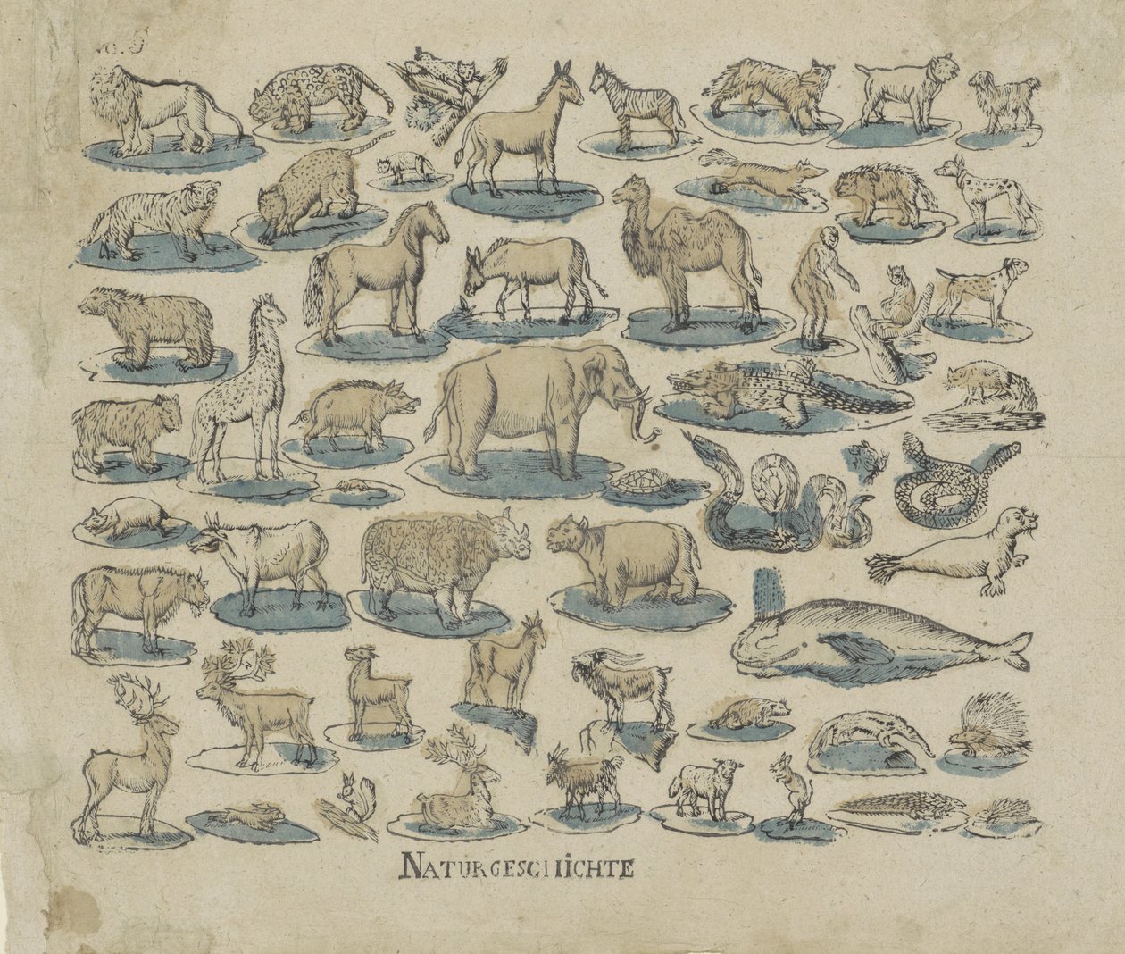 tjenere Natural History (tittel på objekt) av Anonymous