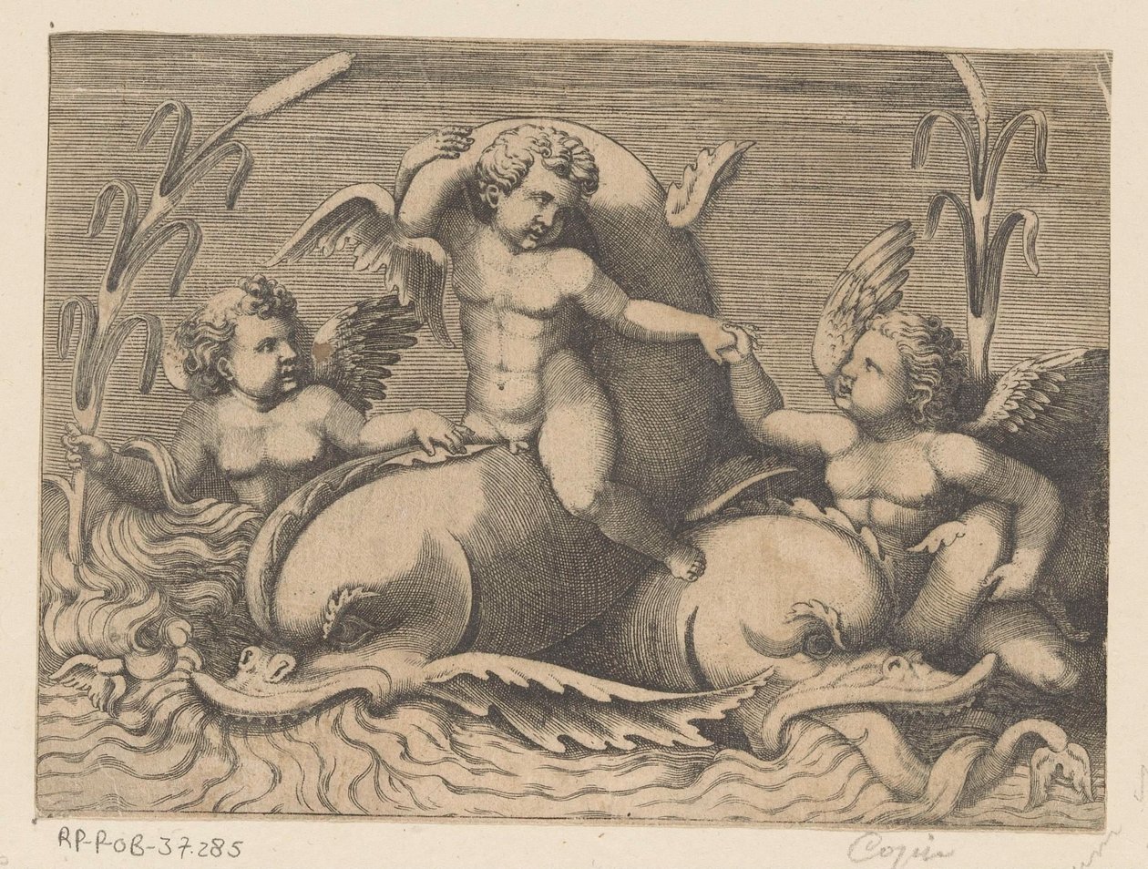 Tre putti med delfiner av Anonymous