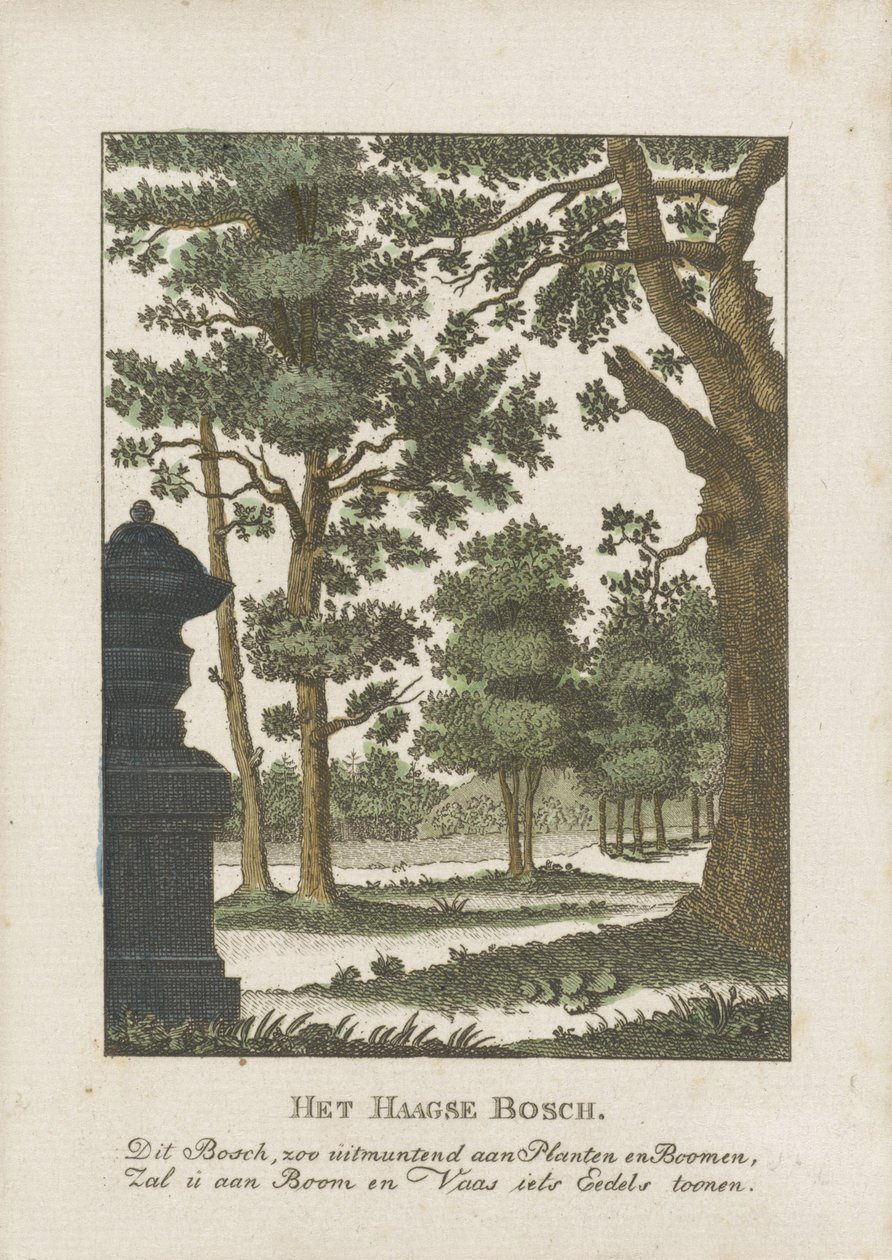 Haagskogen av Anonymous