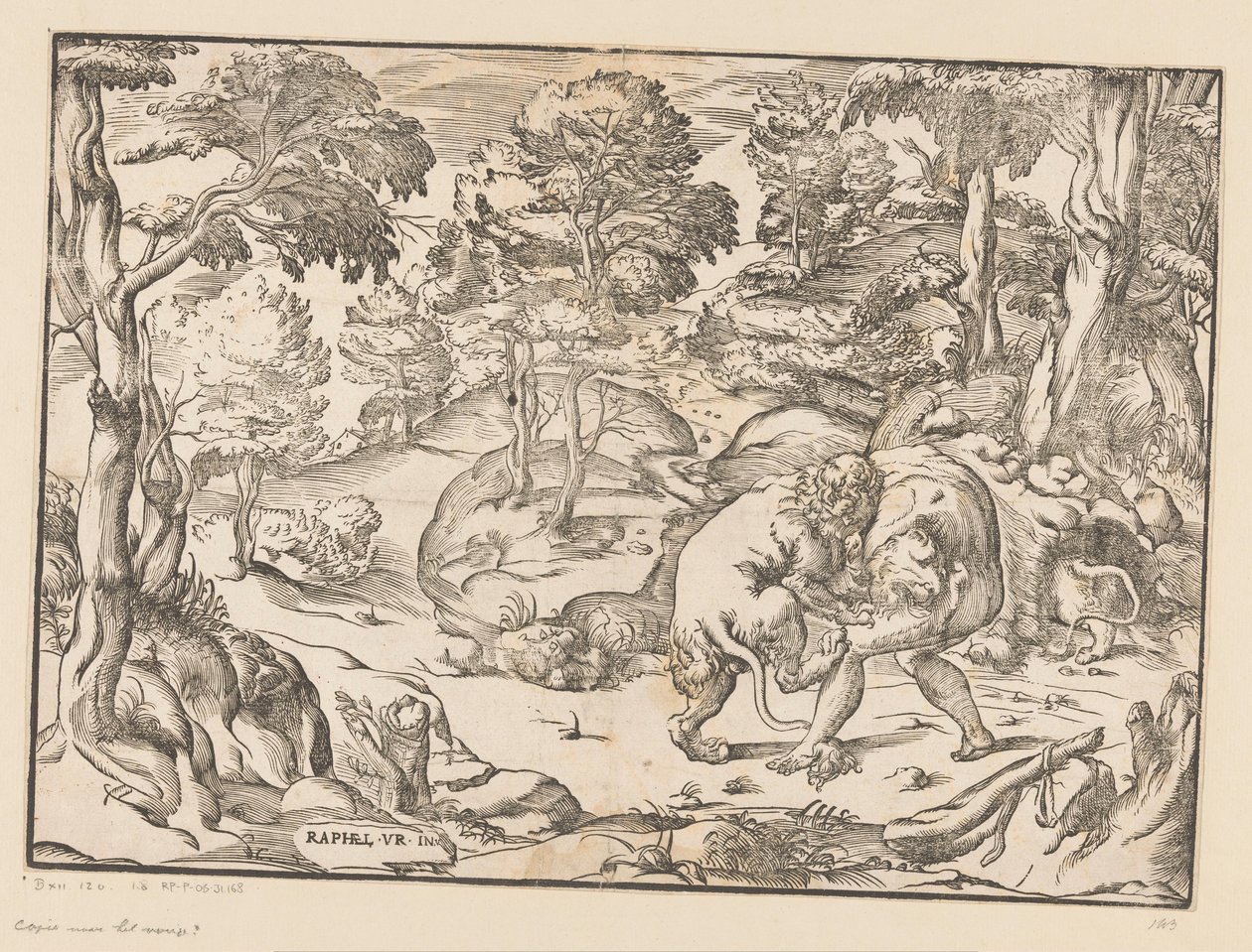 Hercules og Nemean Lion av Anonymous