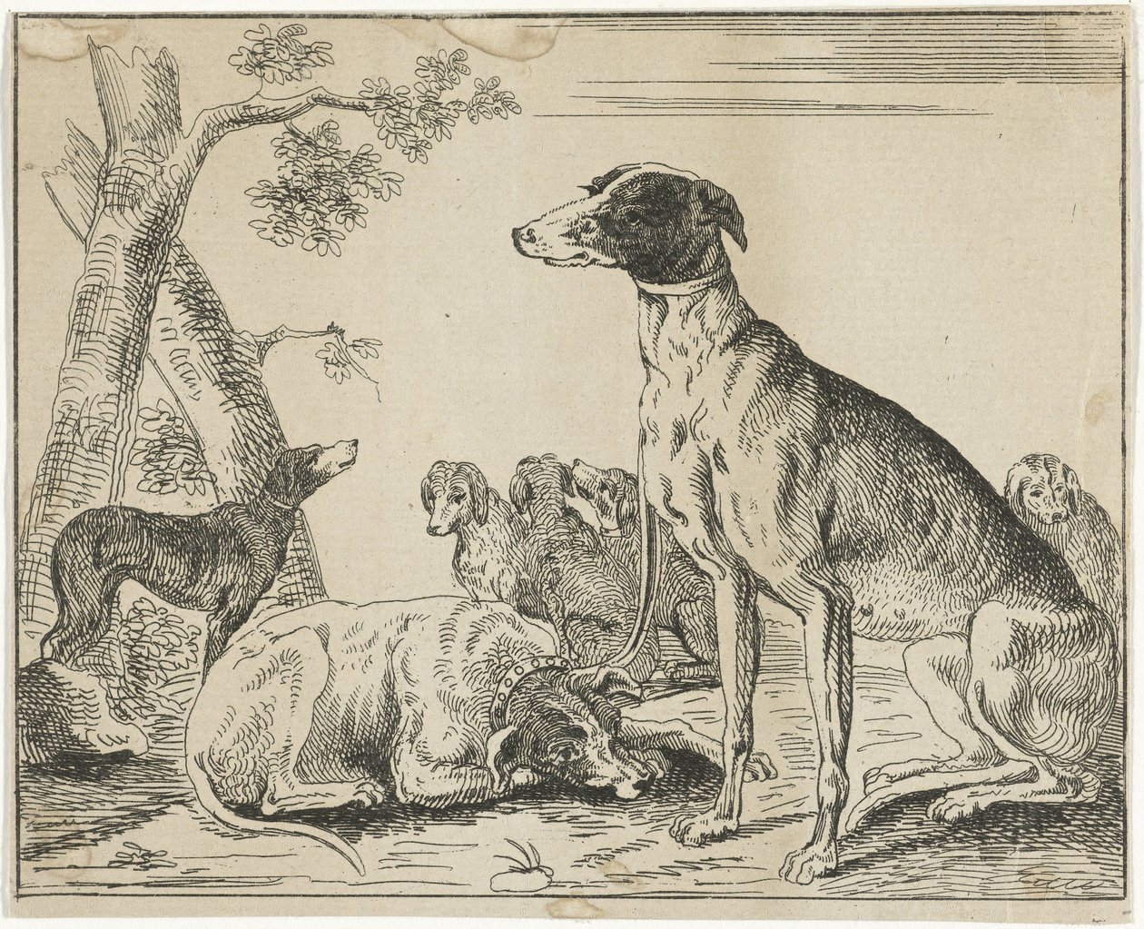 Kennel av Anonymous