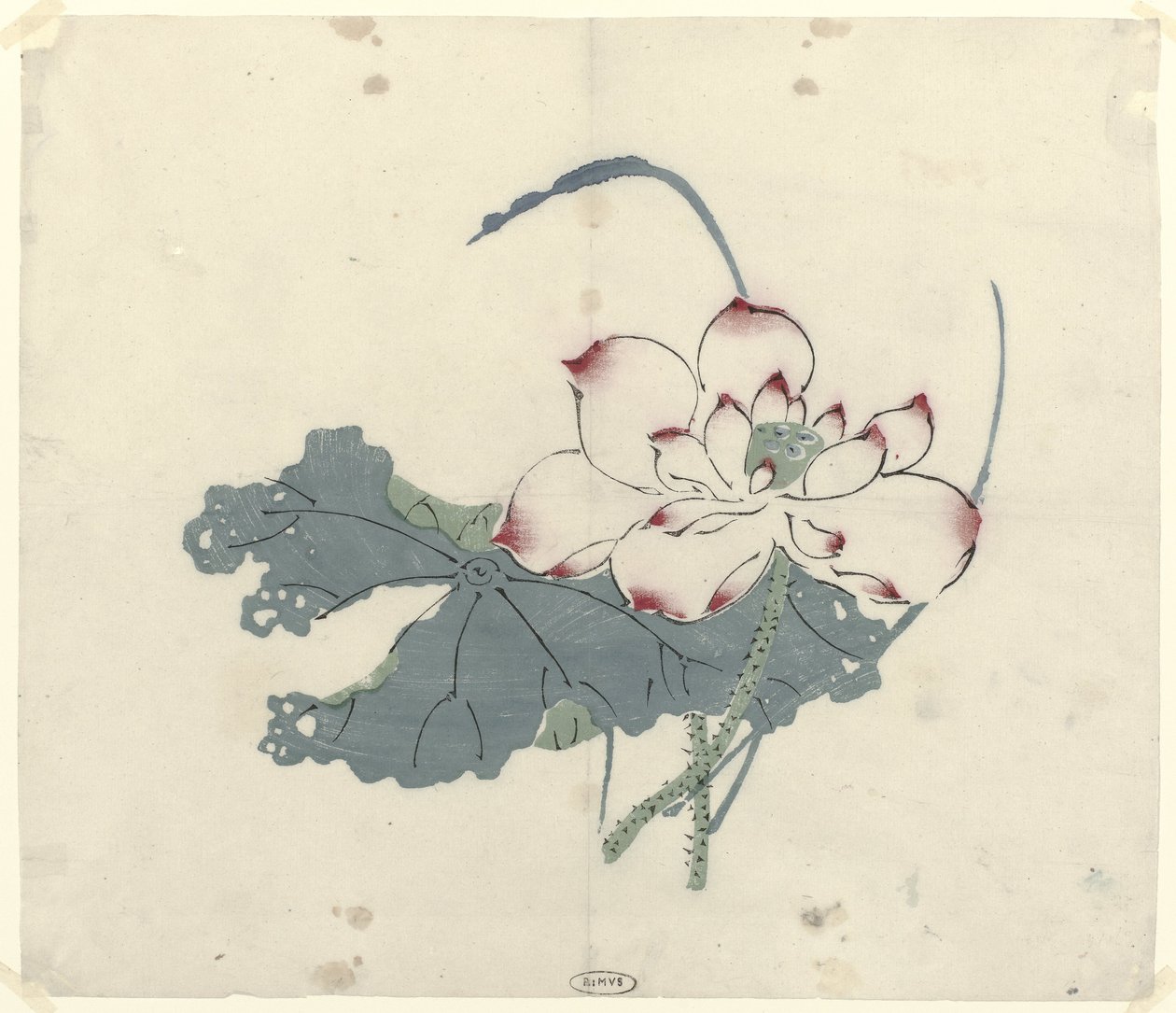 Lotus av Anonymous