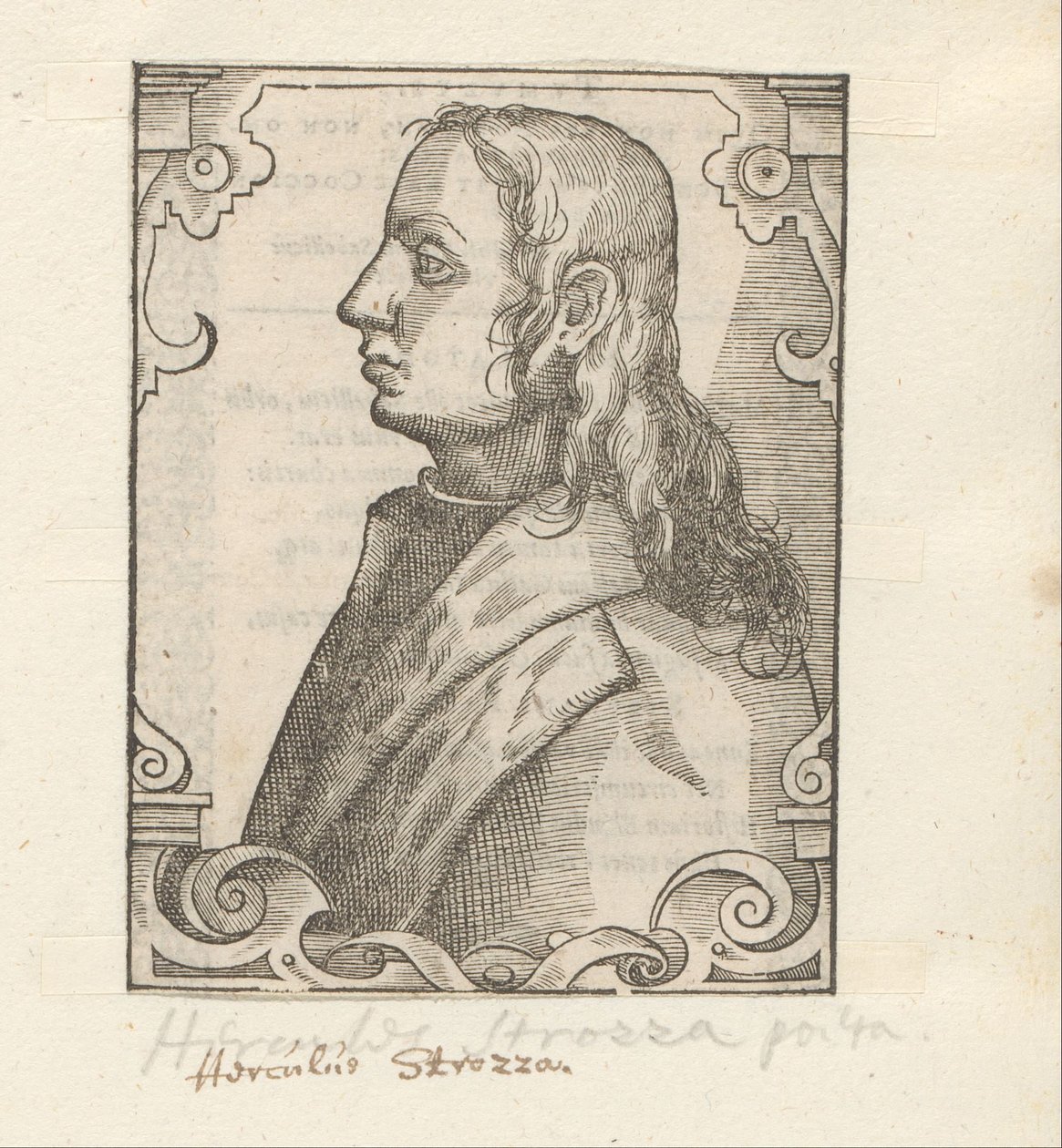 Portrett av Ercole Strozzi av Anonymous