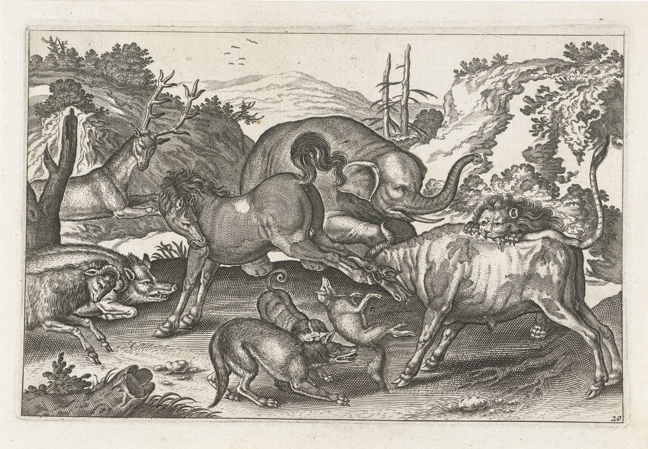 kampdyr Firebeinte dyr (serietittel) Animalivm Qvaddrvpedvm (serietittel) av Anonymous