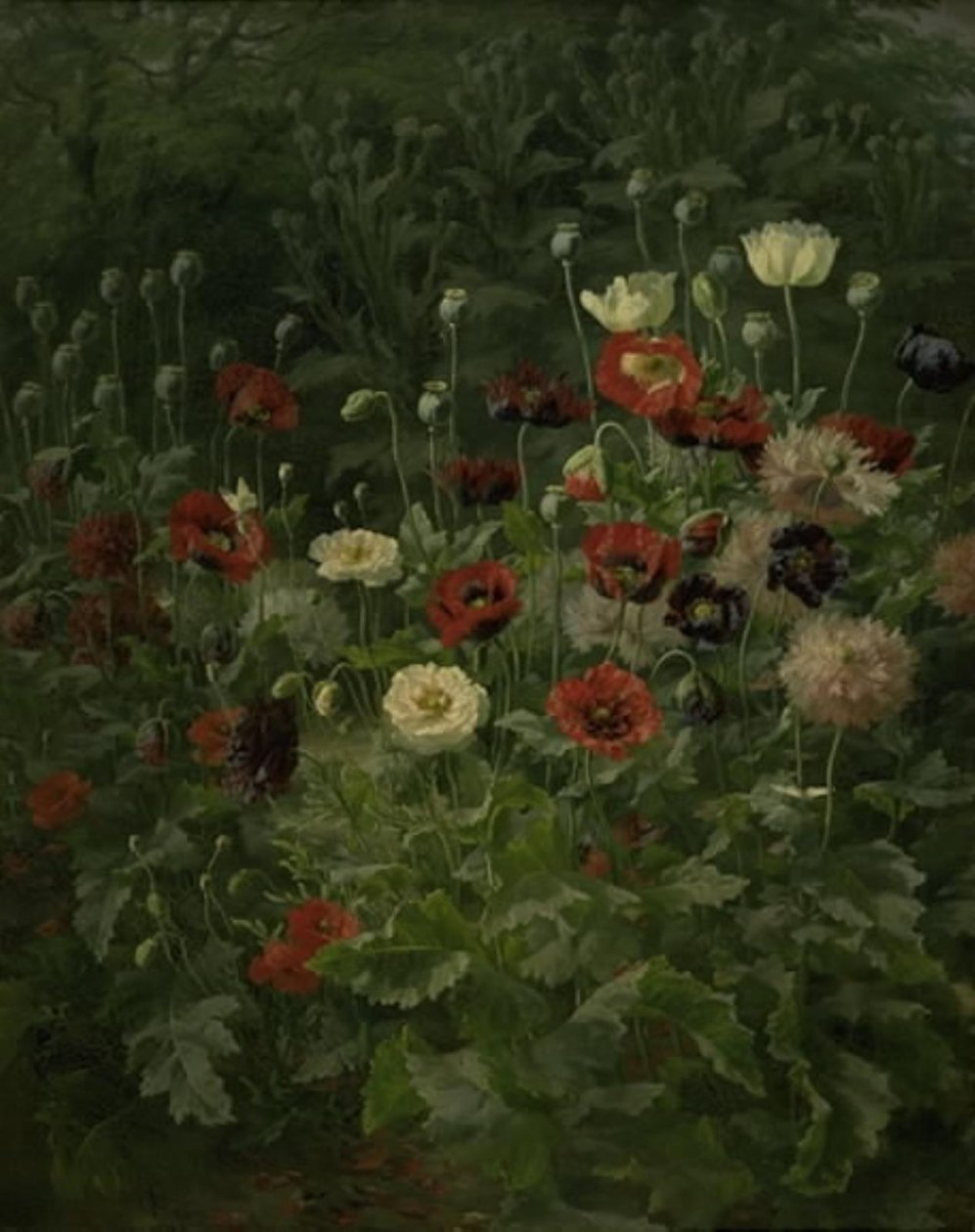 Valmuer av Anthonie Christensen