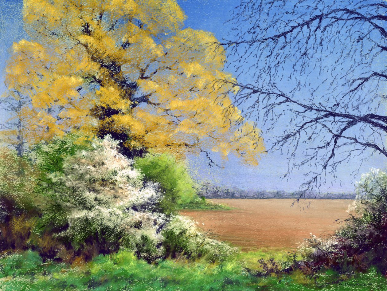 Blackthorn Winter, 2003 av Anthony Rule