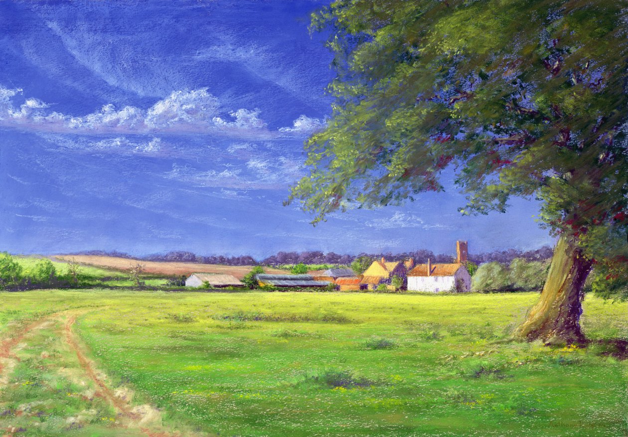 Hjemmebane, 2004 av Anthony Rule