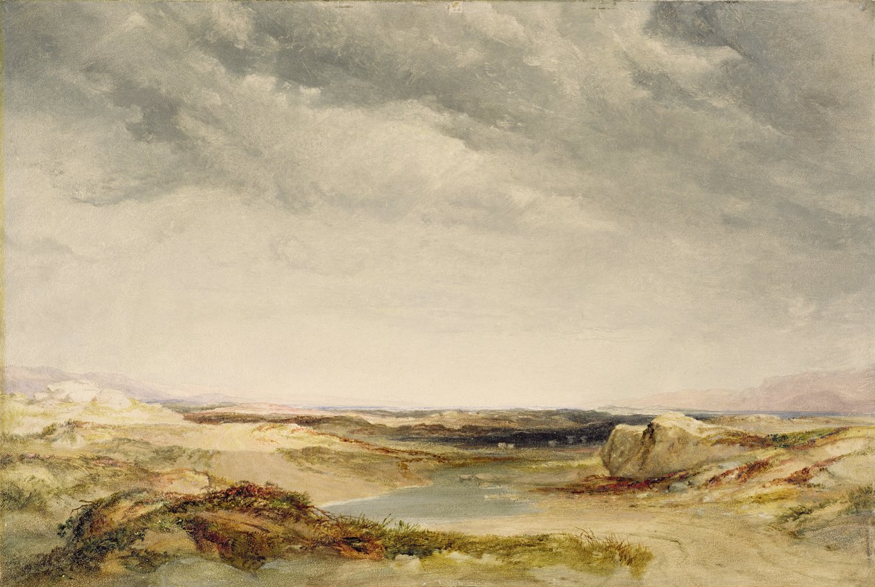 En hede nær kysten av Anthony Vandyke Copley Fielding