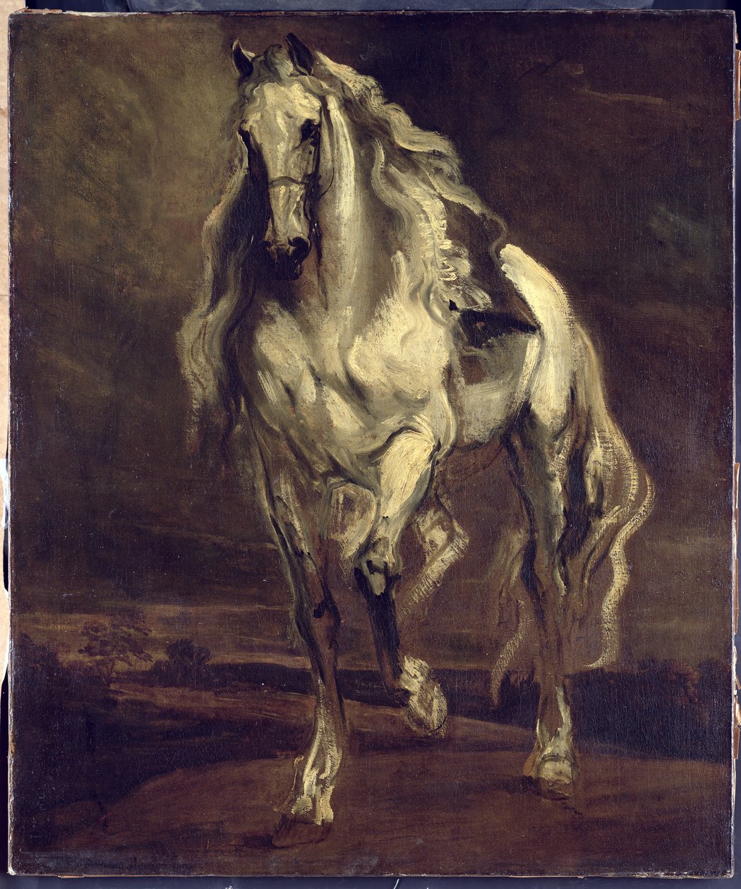 Ukjent bilde av Anthony van Dyck