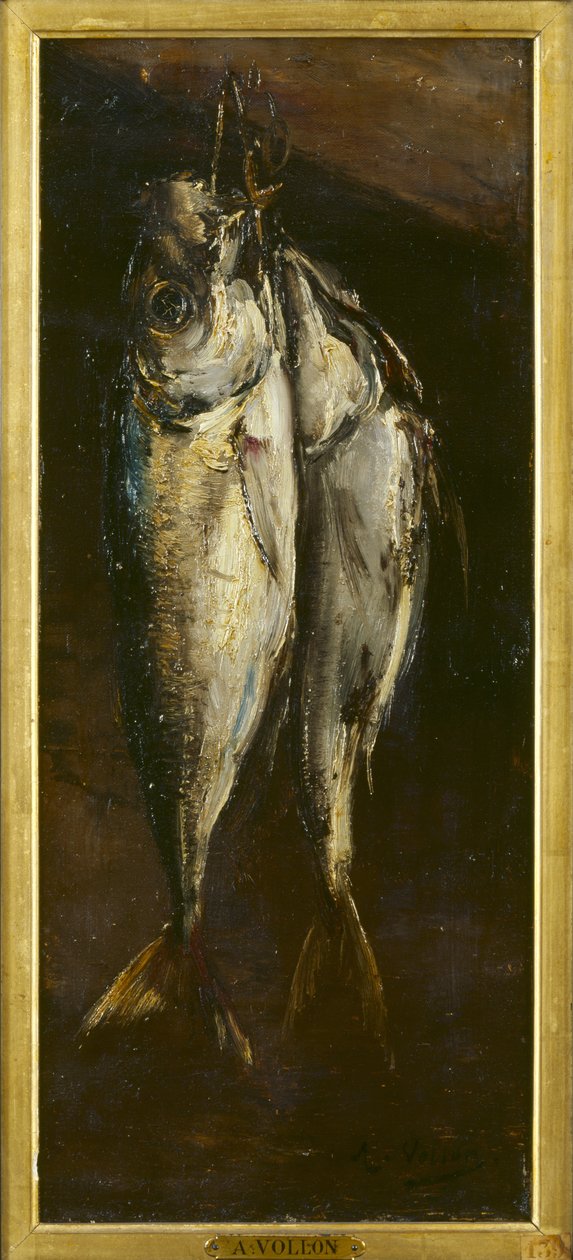 Fisk av Antoine Vollon