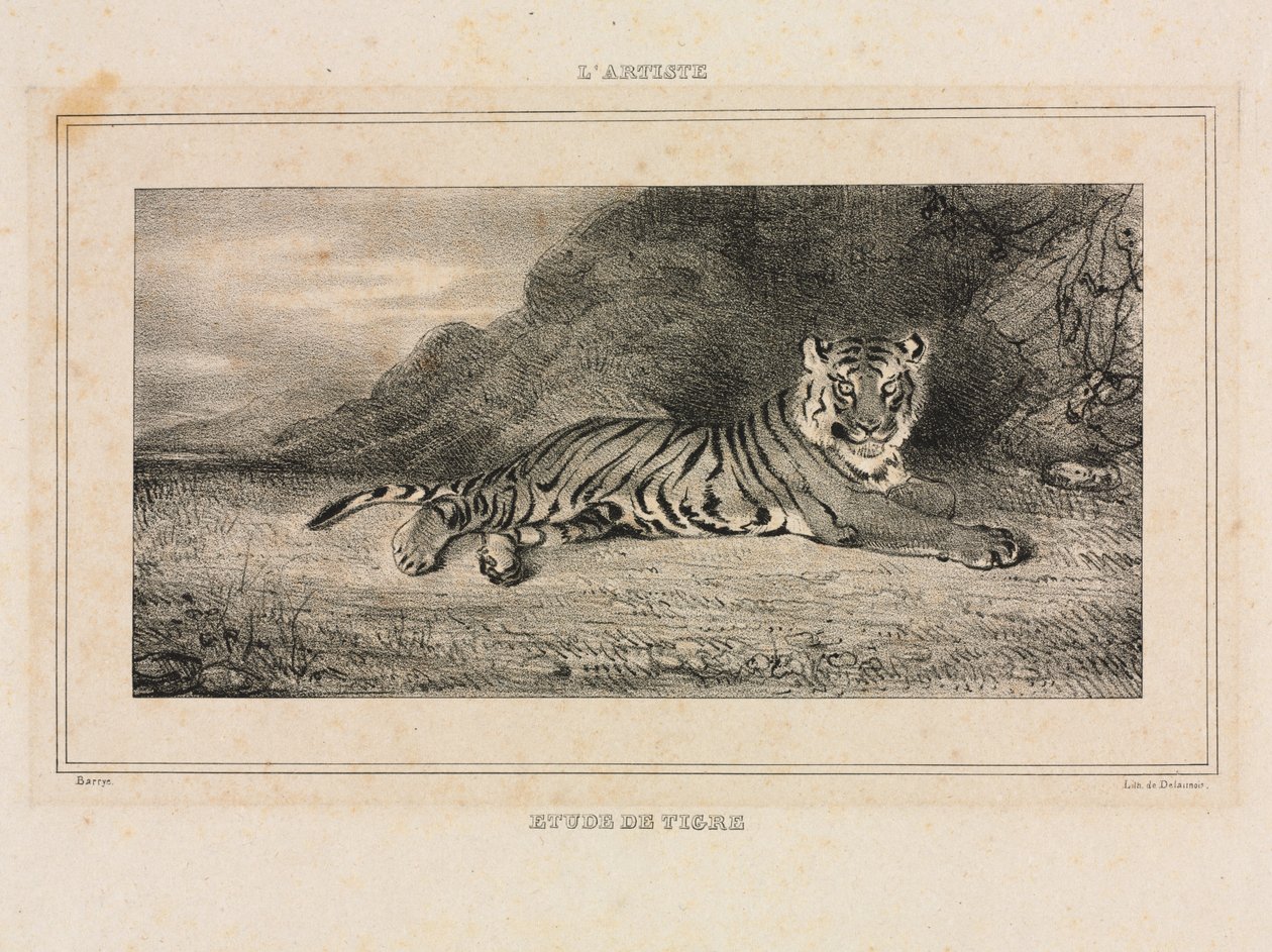 Studie av en tiger, 1832. av Antoine Louis Barye