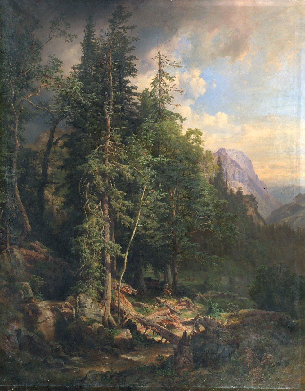 Fra Steiermarks fjellskoger nær Neuberg av Anton Hansch