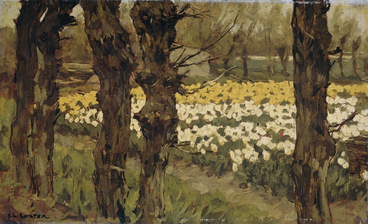 Tulipanmarker av Anton L. Koster