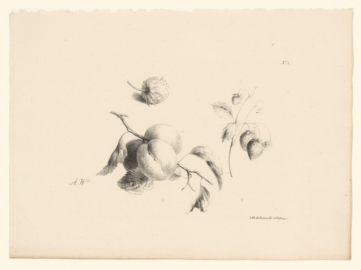 Aprikoser og jordbær Blomster og frukt (serietittel) av Anton Weiss
