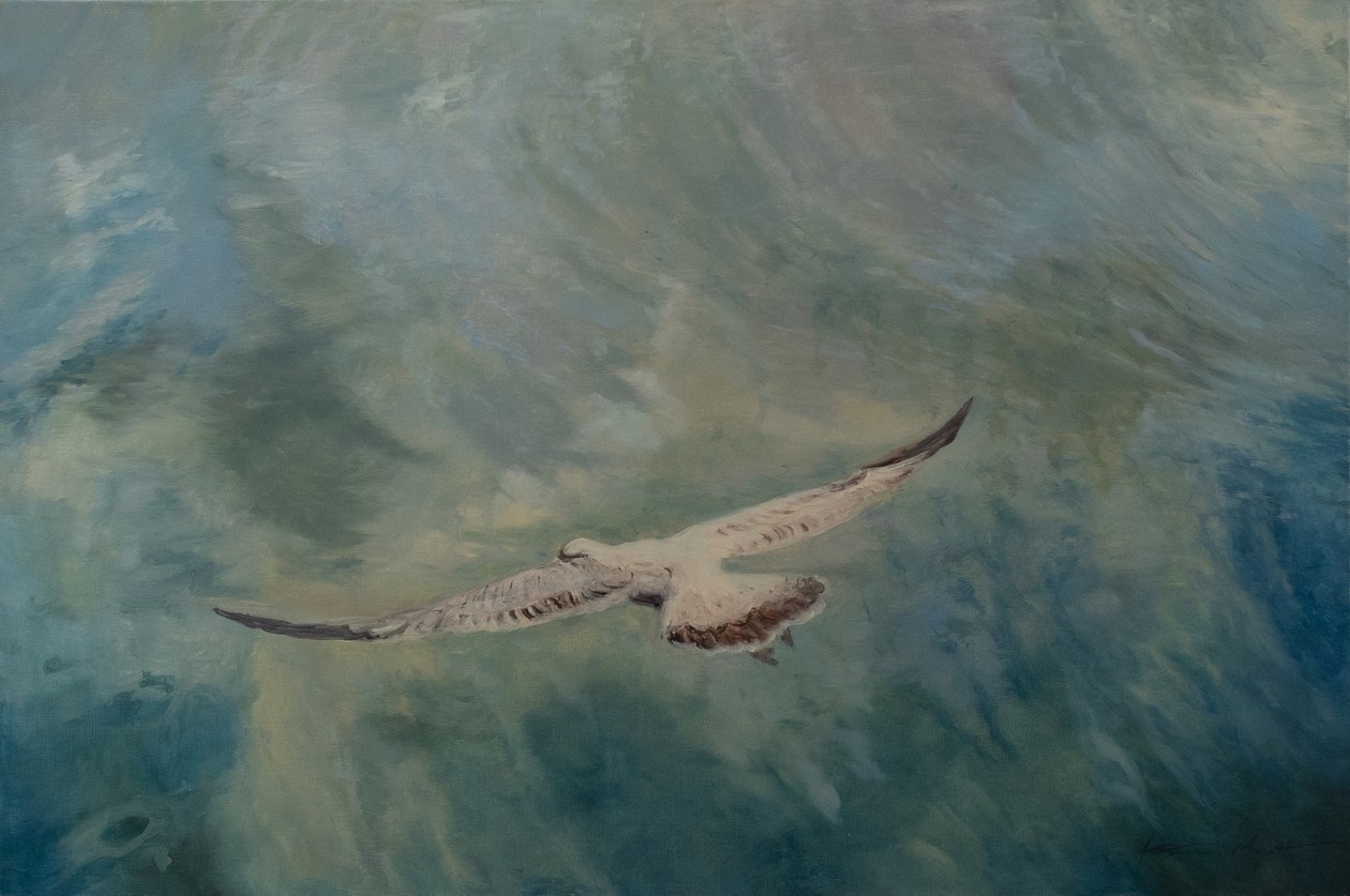 Måkevinger utstrakte, 2012 (olje på lerret) av Antonia Myatt