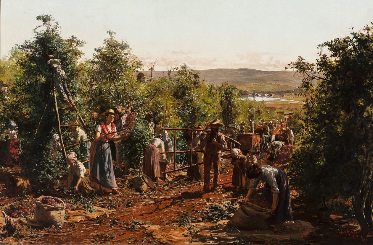 Høsten, Fazenda Santa Gertrudes - Araras, SPn av Antonio Ferrigno
