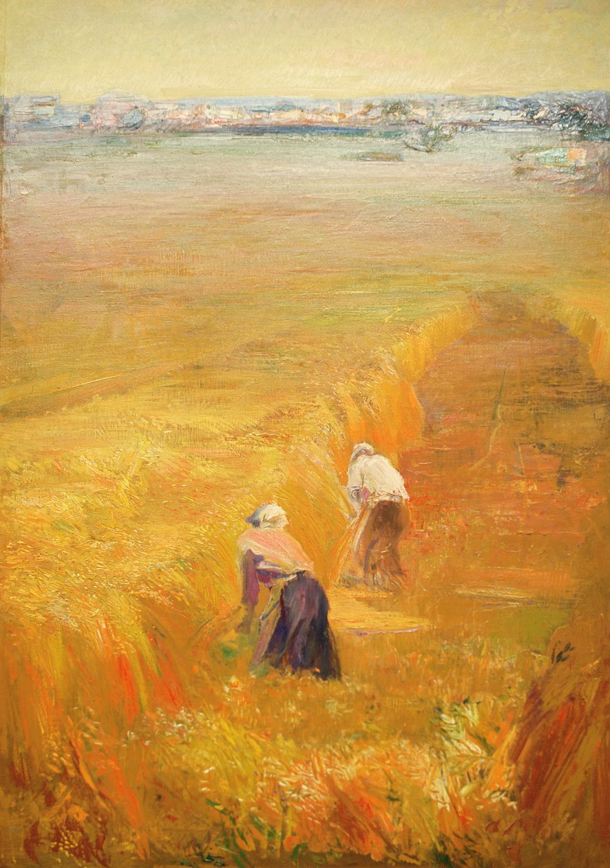 Apulia, 1966 av Antonio Ciccone
