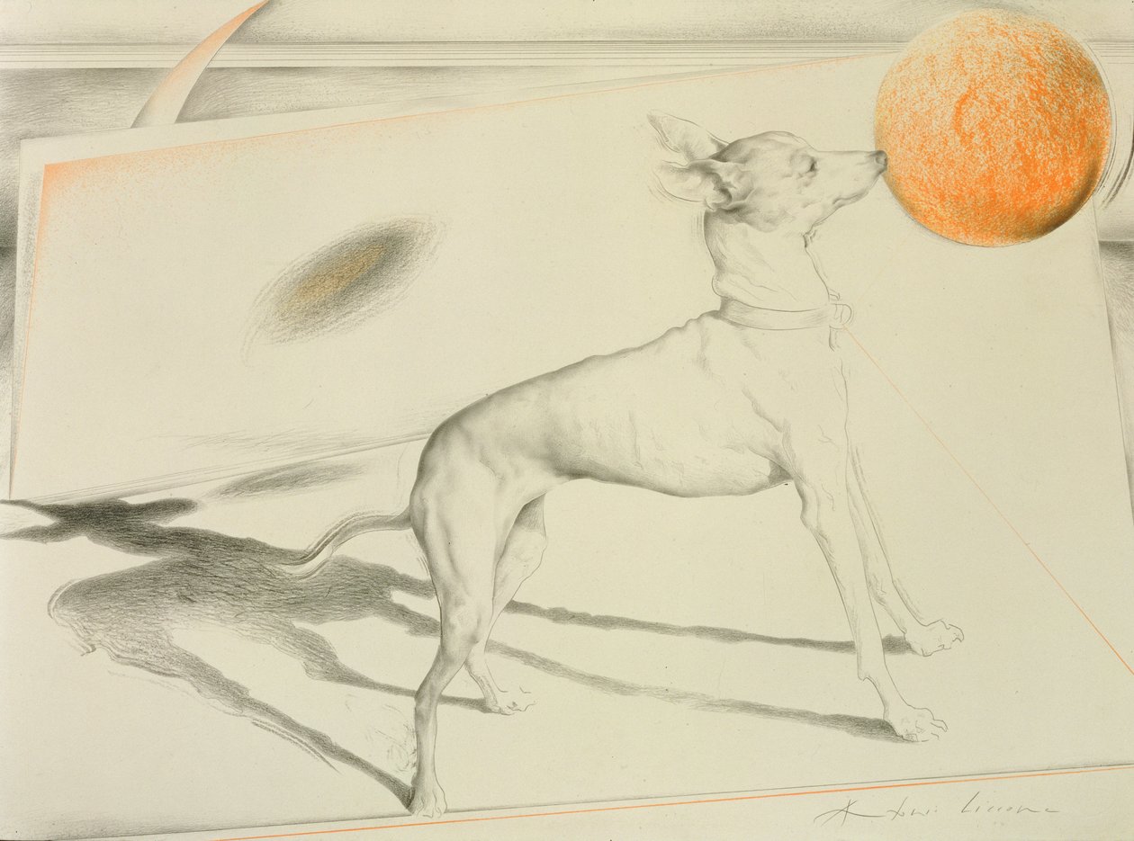 Space Dog (kull og pastell på papir) av Antonio Ciccone